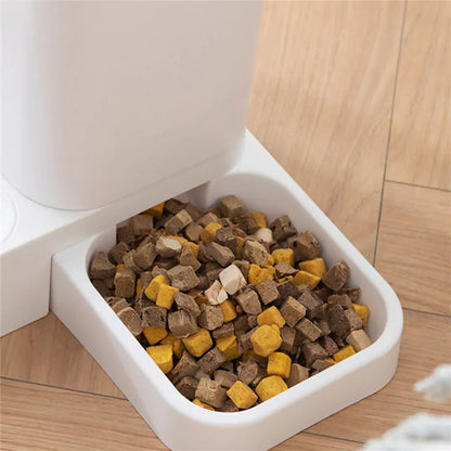 PawEase Cat Automatic Feeder